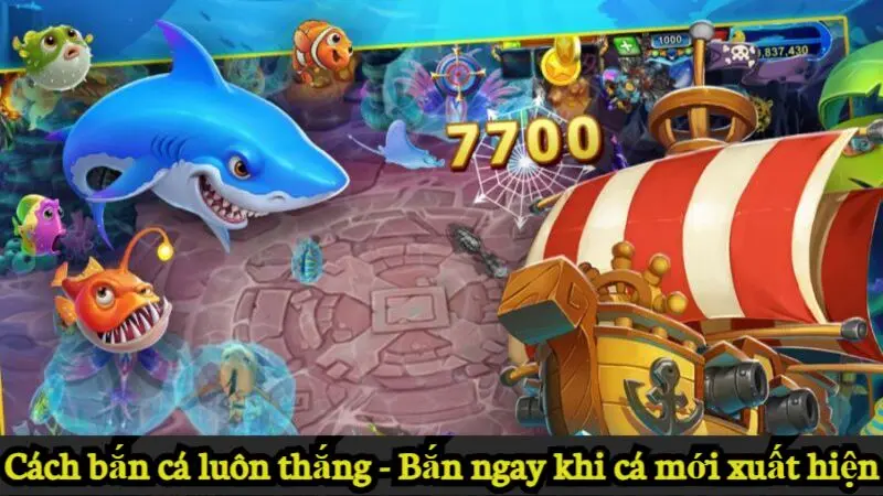 Cách bắn cá luôn thắng - Săn tiền thưởng liền tay cùng Alo789 6 Cách bắn cá luôn thắng hiệu quả - Bắn ngay khi cá mới xuất hiện