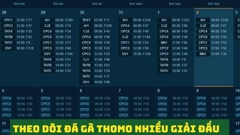 Trực tuyến đá gà Thomo: Theo dõi chọi gà kịch tính, sôi động 3 Theo dõi đá gà Thomo trực tuyến nhiều giải đấu