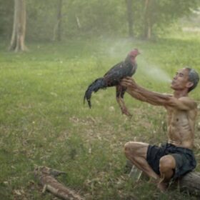 Bí quyết làm nước cho chiến kê từ chuyên gia